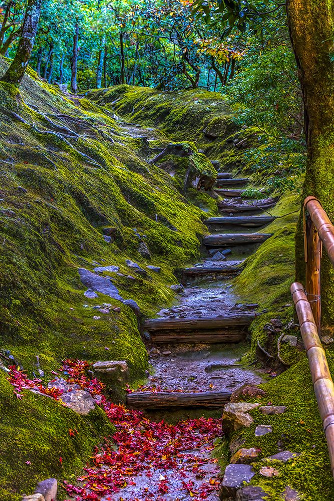 Colorful foliage, garden path,, Ginkakuji (Silver Pavilion) Zen Buddhist Temple Park, Kyoto, Japan.